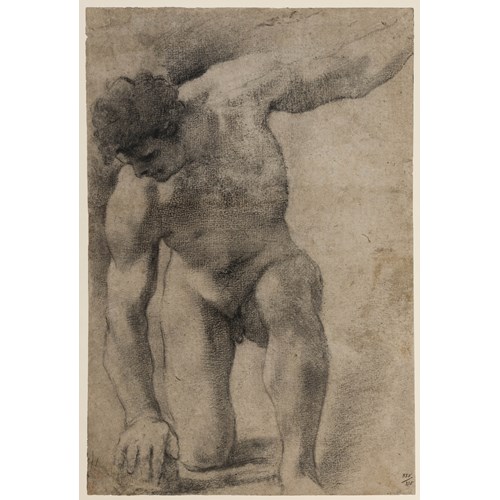 A Kneeling Male Nude